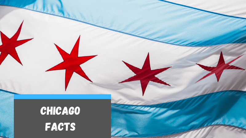 56 Fun Facts About Chicago