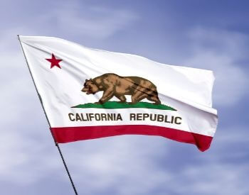 A picture of the U.S. state flag of California
