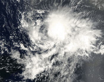 2000 Hurricane Joyce - Category 1