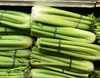 A picture of celery at the grocery store