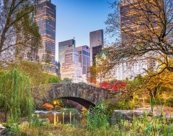 A picture of Central Park during the summer
