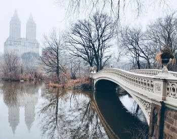 A picture of Central Park during the winter