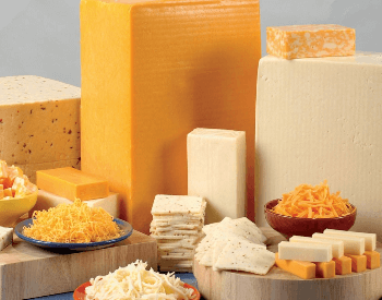 A picture of cheese, a food with a good source of protein