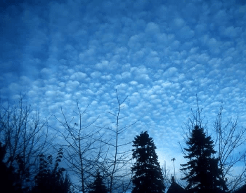A picture of cirrocumulus clouds