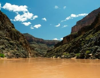 A picture of the Colorado River turned brown from rain
