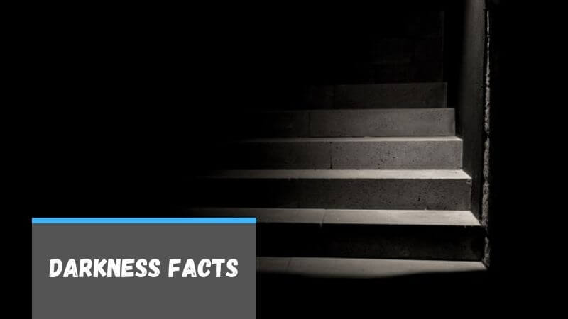 Facts about Darkness for Kids