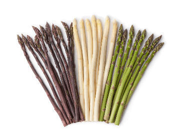 A picture of the different types of asparagus