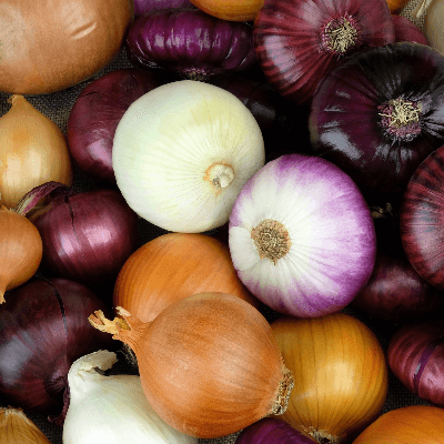 A Picture of Different Types of Onions