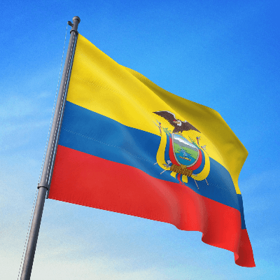A Picture of the Flag of Ecuador