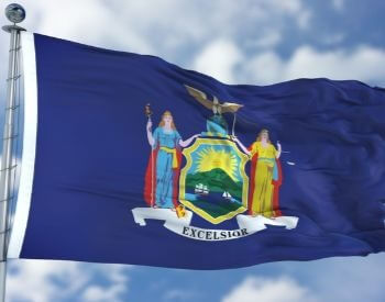 A picture of the flag of the U.S. state of New York