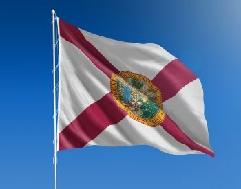 A picture of flag of the U.S. state of Florida