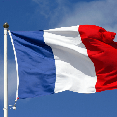 A Picture of the French Flag