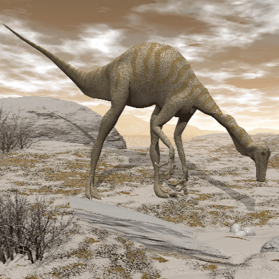 A Picture of Gallimimus Bullatus