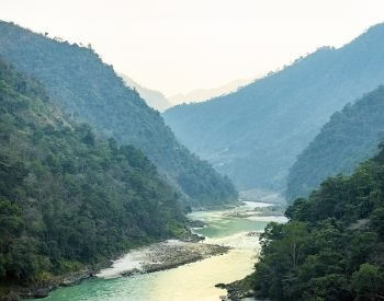 A picture of the Ganges River flowing in a forest