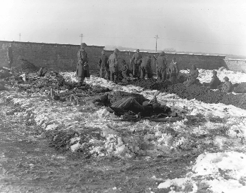 A picture of German soliders digging graves near Bastonge, Belgium
