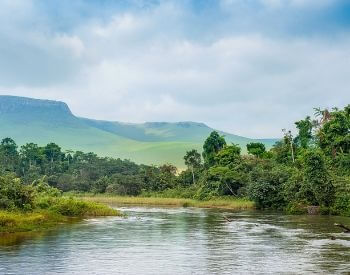 A picture of the view going down the Congo River