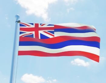 A picture of flag of the U.S. state of Hawaii