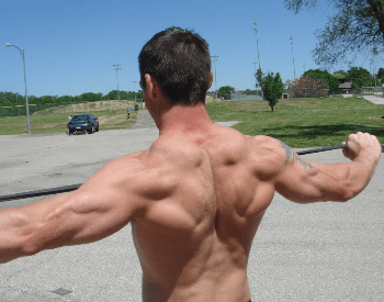 A picture of the upper back and arm muscles of a human