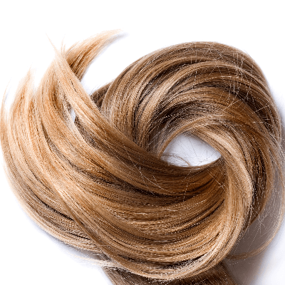 A Picture of Human Hair