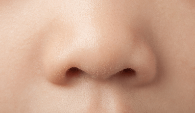 Nose Facts - Facts Just for Kids