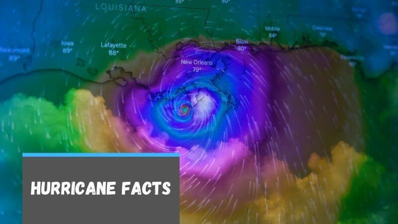 hurricane facts