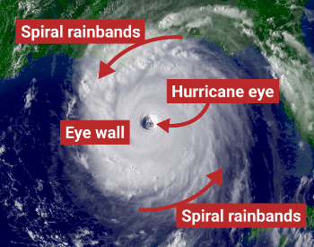 The Structure of a Hurricane