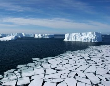 A picture of ice sheets and icebergs in the Southern Ocean