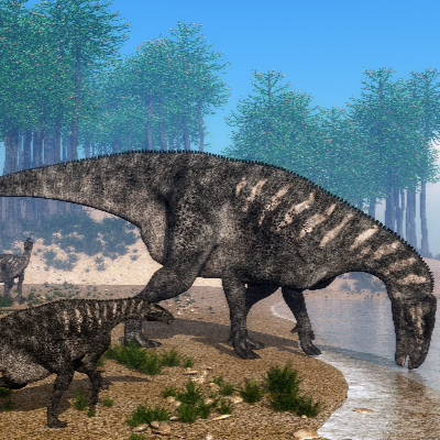 A Picture of Iguanodon Bernissartensis