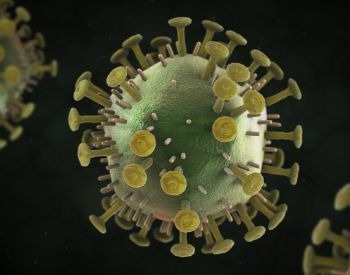 An illustration of what an HIV cell looks like