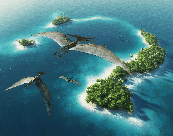 An illustration of three pteranodons flying over an island
