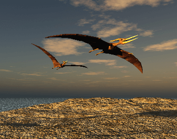 An illustration of two pteranodons flying over the coast