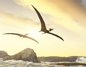 An illustration of two pteranodons flying over the ocean