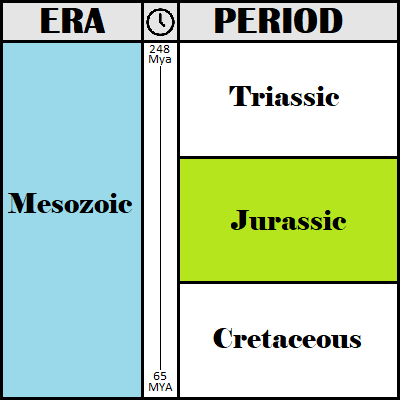 The Jurassic Period Timeline