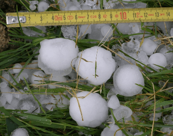 Large hail next to a tape measure