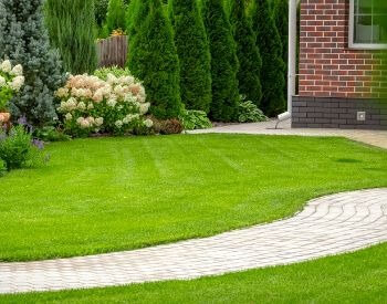 A picture of grass in front of a house