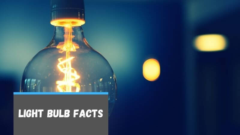 light bulb facts