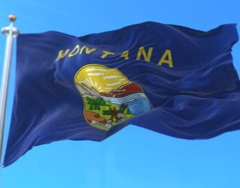 A picture of the flag of the U.S. state of Montana