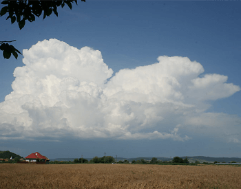 Multicellular Thunderstorm (Multi-Cell Cluster)