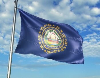 A picture of the flag of the U.S. state of New Hampshire