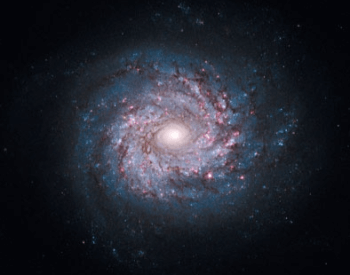 A photo of spiral galaxy NGC 3982