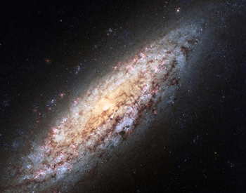 A photo of spiral galaxy NGC 6503