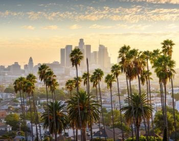 A picture of some palm trees and the Los Angeles skyline