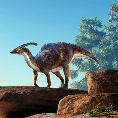 A Picture of Parasaurolophus Walkeri