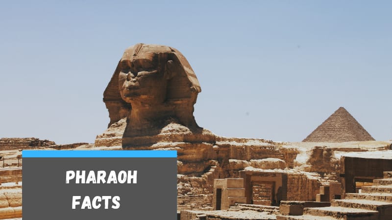 Pharaoh Facts for Kids
