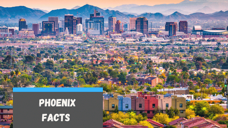 53 Facts about Phoenix for School