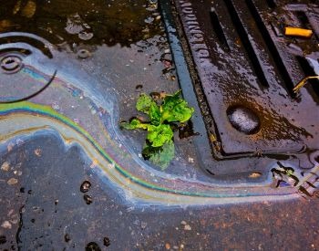 A picture of polluted water going into a storm drain