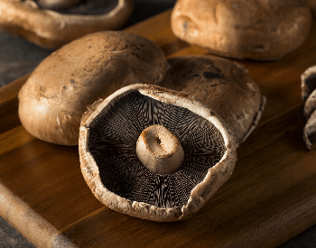 A picture of portobello mushrooms
