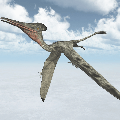 A Picture of Pterodactyl Antiquus