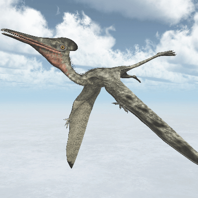 Snarl's Dino Facts:Pterodactyl
