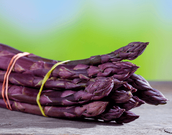A close-up picture of purple asparagus spears